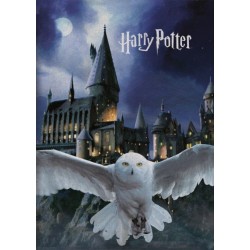 Harry Potter Hogwarts Fleece Blanket 100x140cm