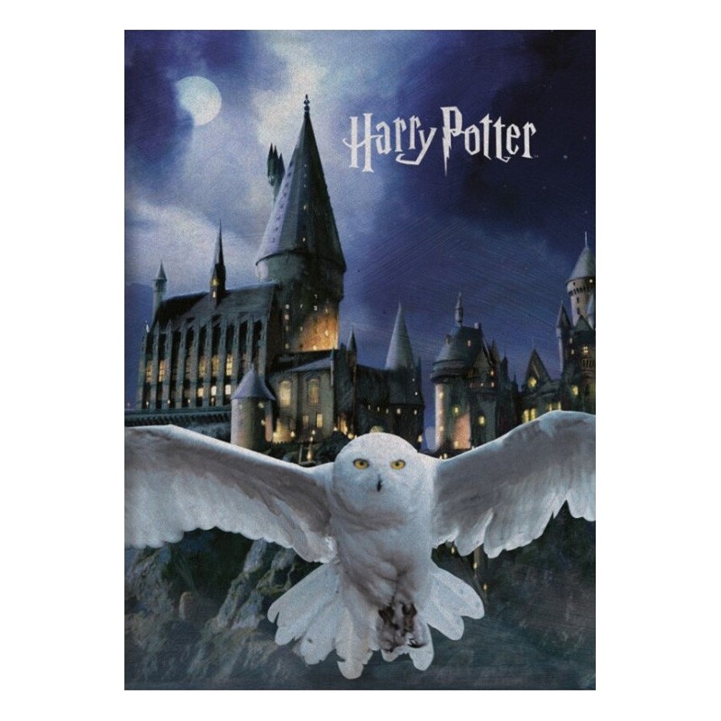 Couverture polaire Harry Potter Poudlard 100x140cm