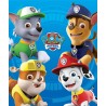 Paw Patrol fleece blanket 100*140cm