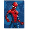 Spiderman Sweet Web fleece blanket 100x140cm