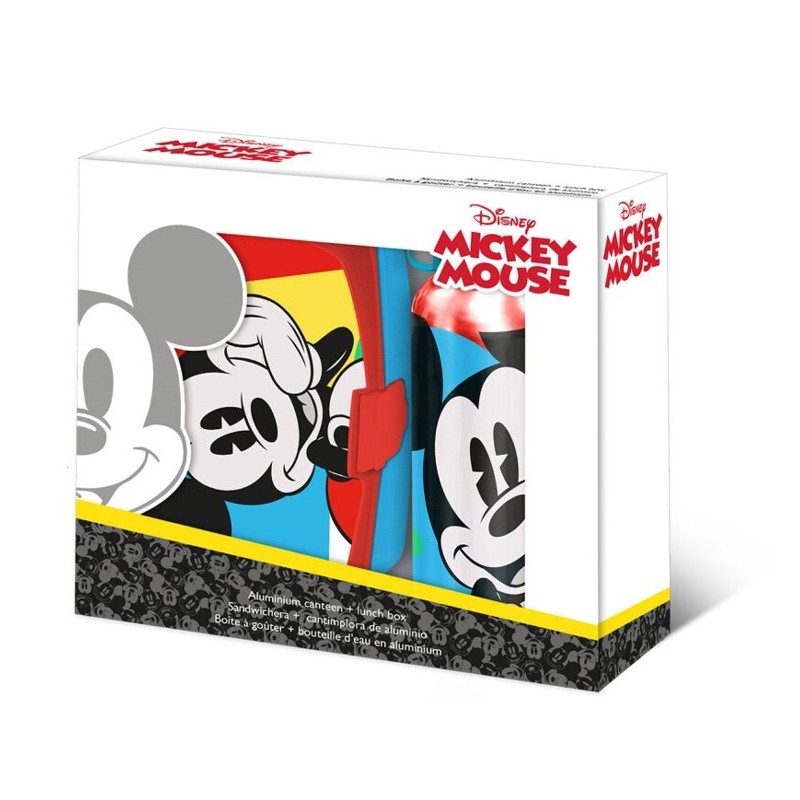 Disney Mickey  Summer sandwich box + aluminum bottle set