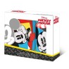 Disney Mickey  Summer sandwich box + aluminum bottle set