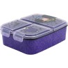 Wednesday Nevermore Academy compartmentalized lunch box, sandwich box