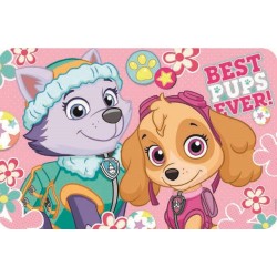 Paw Patrol placemat 43*28 cm