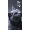 Cat bath towel, beach towel 70*140cm