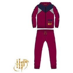 Ensemble Survêtement Enfant Harry Potter, Ensemble Jogging 8 Ans