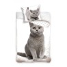 Cat Purrfectly Grey bedding set 140×200cm, 60x70 cm