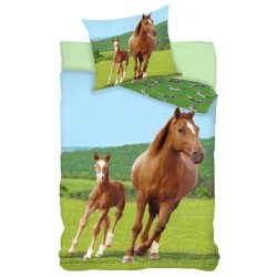 Horses bedding cover 140×200cm, 70×90 cm