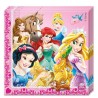 Disney Princess napkin pack of 20 33x33 cm