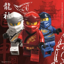 Lego Ninjago napkin 20 pcs 33x33 cm