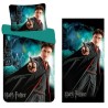 Harry Potter bedding and towel set