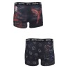 Lot de 2 boxers pour homme Harry Potter (S-XL)