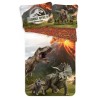 Jurassic World Lava bedding set 140x200 cm, 70x90 cm