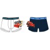 Disney Cars children's boxer shorts 2 pieces/pack 2/3 years