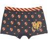 Boxer pour enfants Harry Potter 2 pièces/pack 10/12 ans