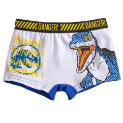 Jurassic World children's boxer shorts 2 pieces/package 4/5 years