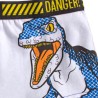 Jurassic World children's boxer shorts 2 pieces/package 4/5 years