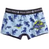 Jurassic World children's boxer shorts 2 pieces/package 4/5 years