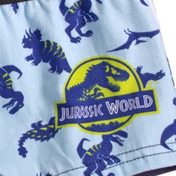 Jurassic World children's boxer shorts 2 pieces/package 4/5 years