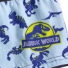 Jurassic World children's boxer shorts 2 pieces/package 4/5 years