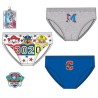 Paw Patrol children's underwear, bottom 3 pieces/pack 4/5 years